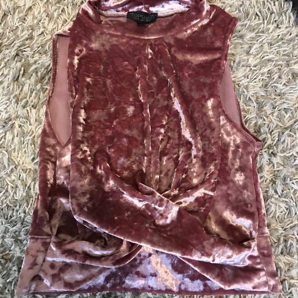 Topshop Tops - Velvet Cropped Top